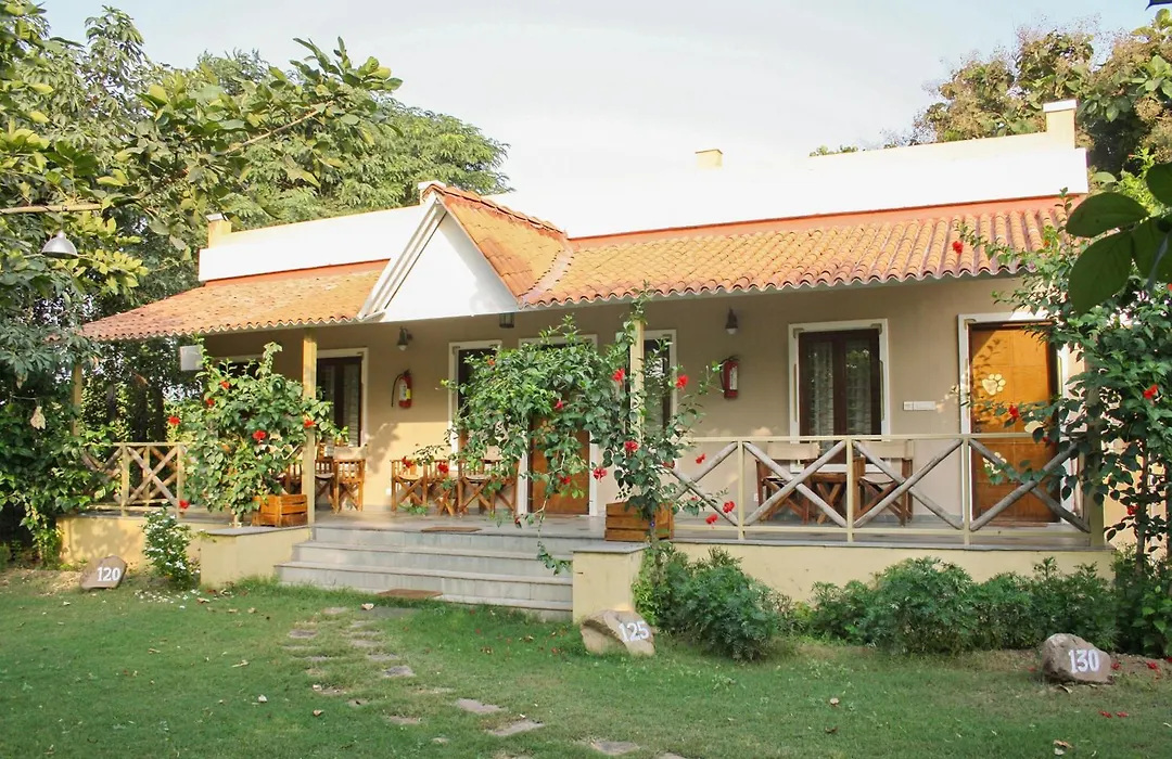 Asiatic Lion Lodge-1