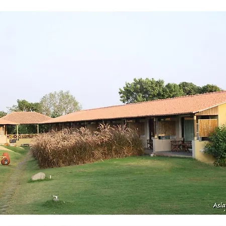 Asiatic Lion Lodge-2