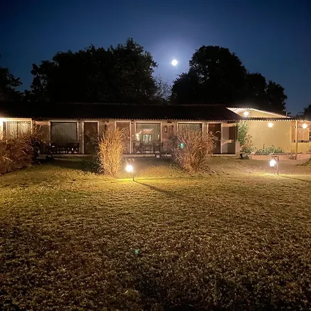 Asiatic Lion Lodge-3